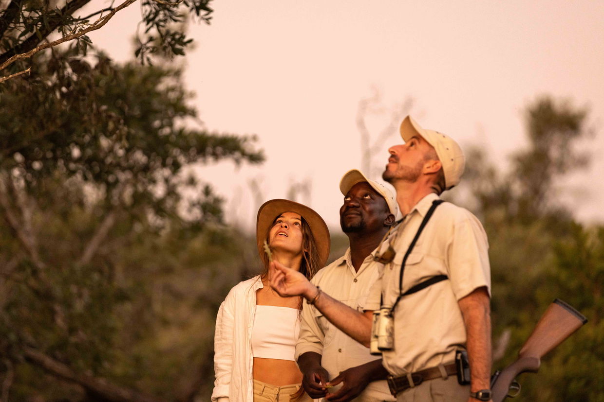 guest and guides on birding safari looking into tree at ulusaba lodge