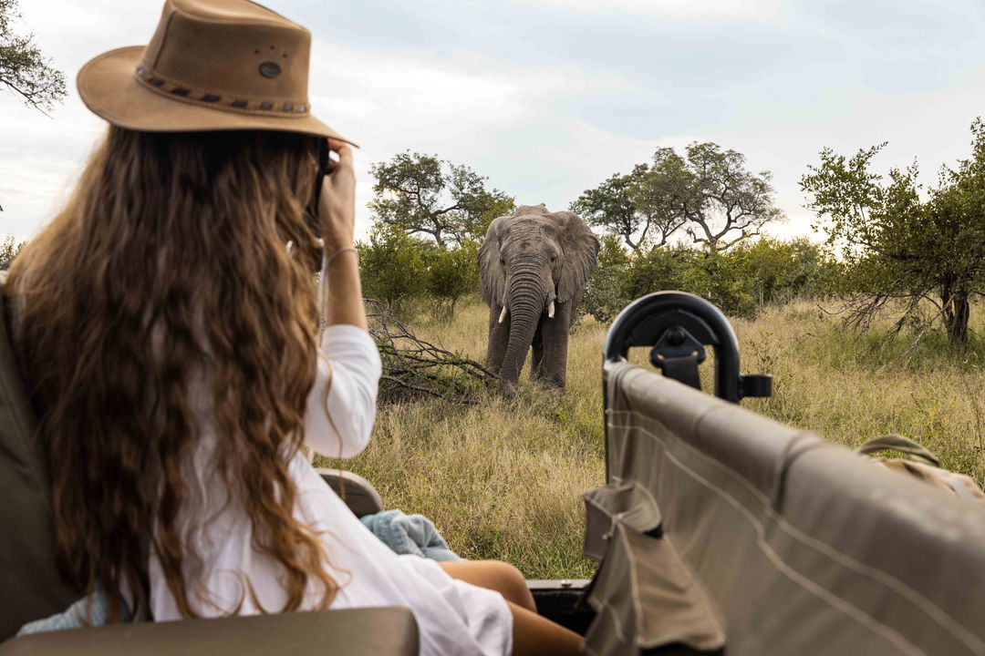 lady on safari filming elephant close by at Ulusaba lodge