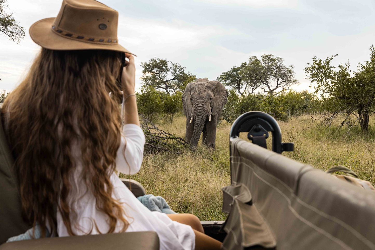 lady on safari filming elephant close by at Ulusaba lodge