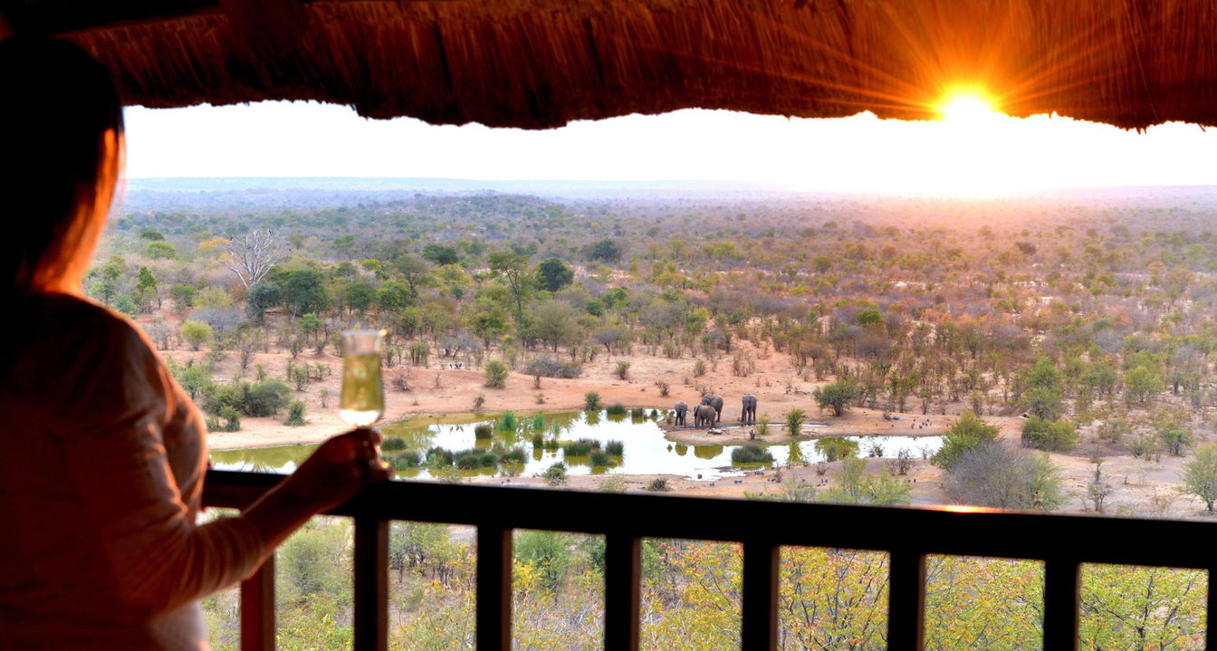 view from deck of water hole and elephants at Victoria falls safari lodge Zimbabwe 