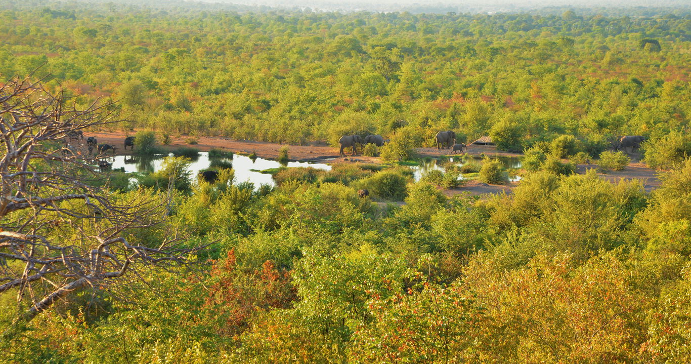 ariel view of water hole and elephants at Victoria falls safari lodge Zimbabwe 
