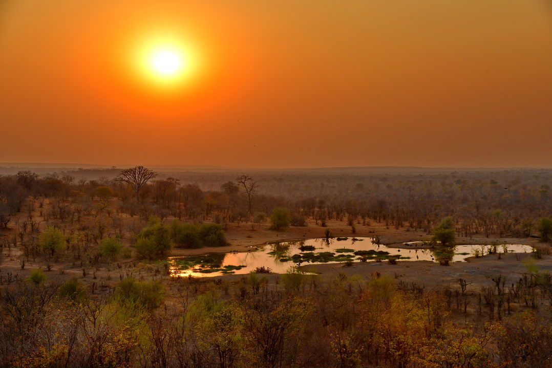 water hole at sunset with wildlife at Victoria falls safari lodge Zimbabwe