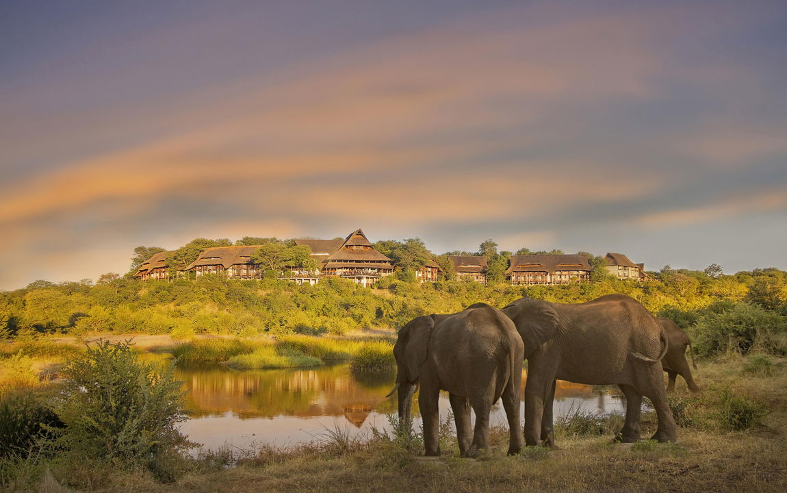 big herd of elephants at watering hole with full view of Victoria falls safari lodge in background