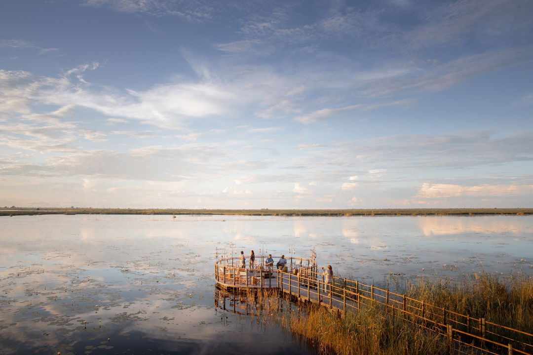 guests on the viewing deck of wilderness duma tau camp botswana