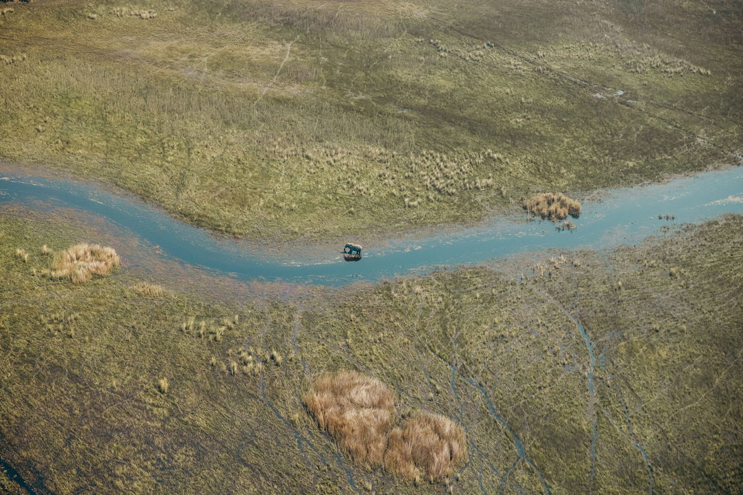 erial view of an elephant in the channels of delta at wilderness duma tau camp botswana
