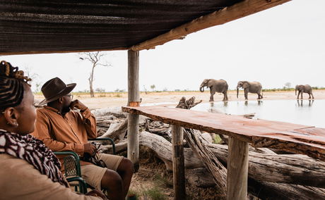 two guests in a hide looking at elephants drinking water at little Mombo Wilderness Okavango delta two guests in a hide looking at elephants drinking water at little Mombo Wilderness Okavango delta