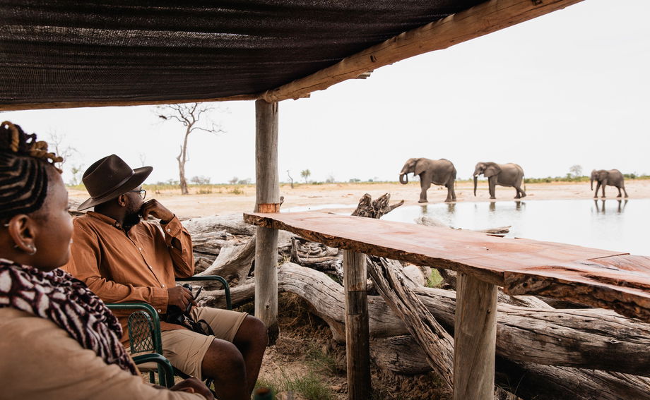 two guests in a hide looking at elephants drinking water at little Mombo Wilderness Okavango delta two guests in a hide looking at elephants drinking water at little Mombo Wilderness Okavango delta
