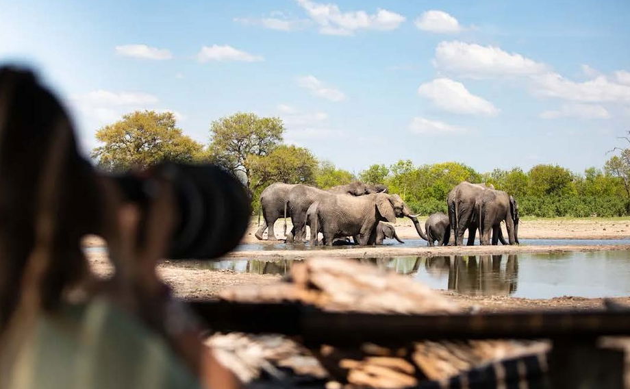 guest filming elephants at waterhole from a hide at Jao Camp Wilderness Botswana