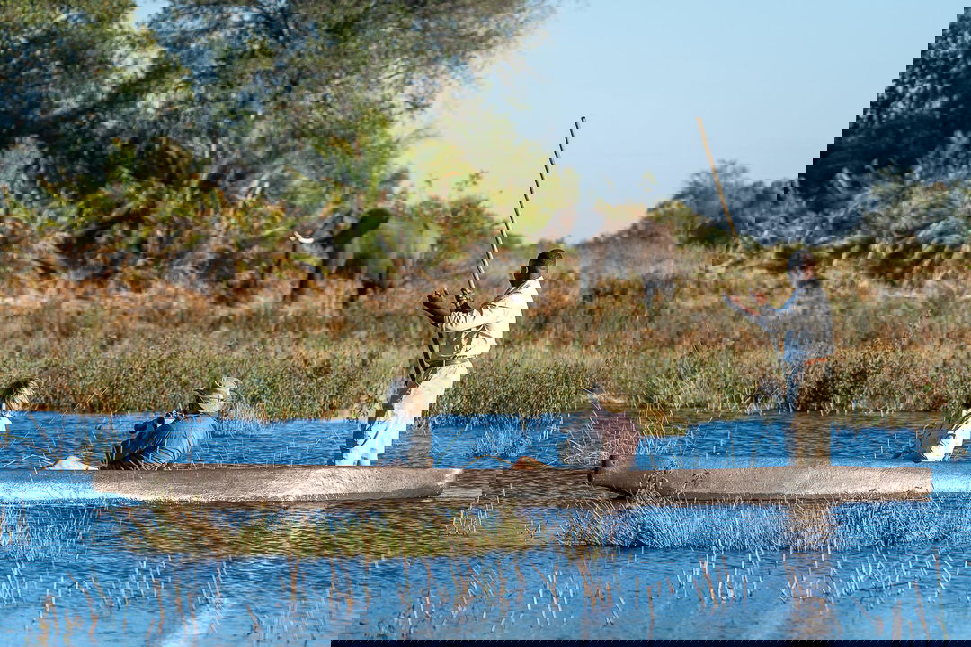 guest in mokoro sighting an elephant on river bank of delta by Jao Camp Wilderness Botswana