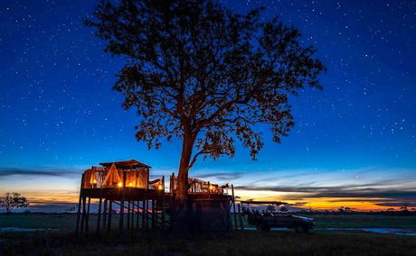 star bed facilities at night under a tree on delta by Jao Camp Wilderness Botswana star bed facilities at night under a tree on delta by Jao Camp Wilderness Botswana