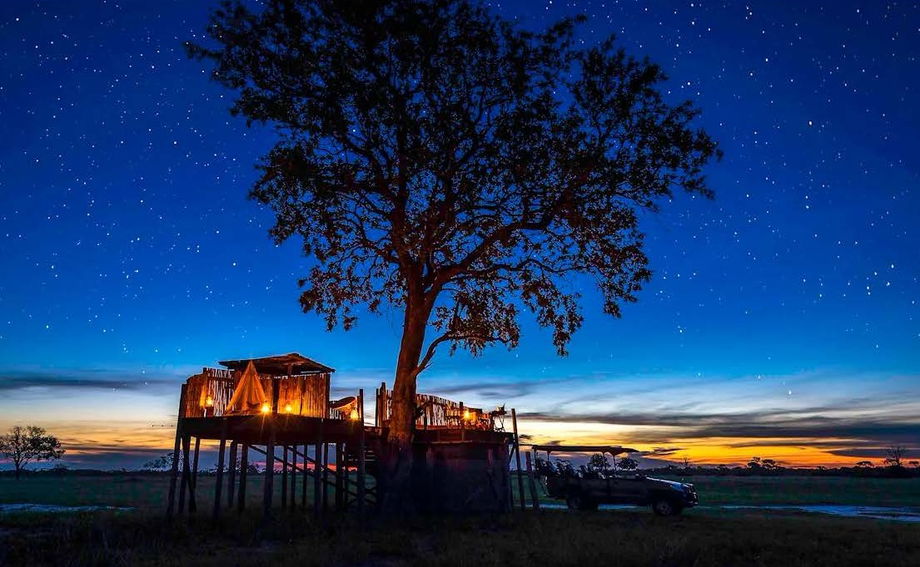 star bed facilities at night under a tree on delta by Jao Camp Wilderness Botswana