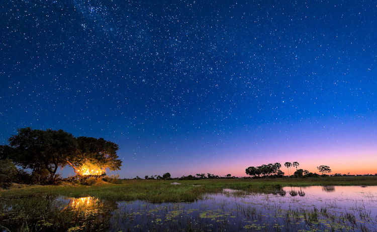 stellar constellations over the Okavango delta at night by Jao Camp Wilderness Botswana