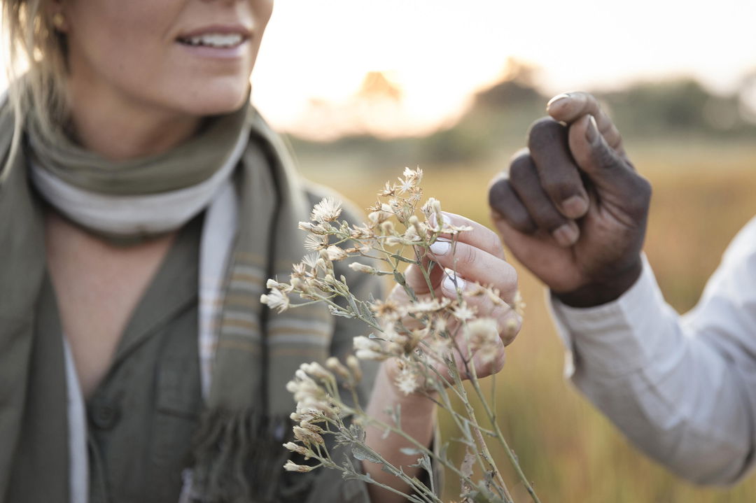 ranger showing wild flowers to a guest on a bush walk by Little mombo camp