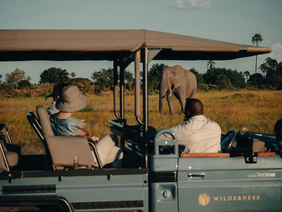 guests on open game viewing vehicle in Okavango Delta with elephant behind by Little Mombo Wilderness