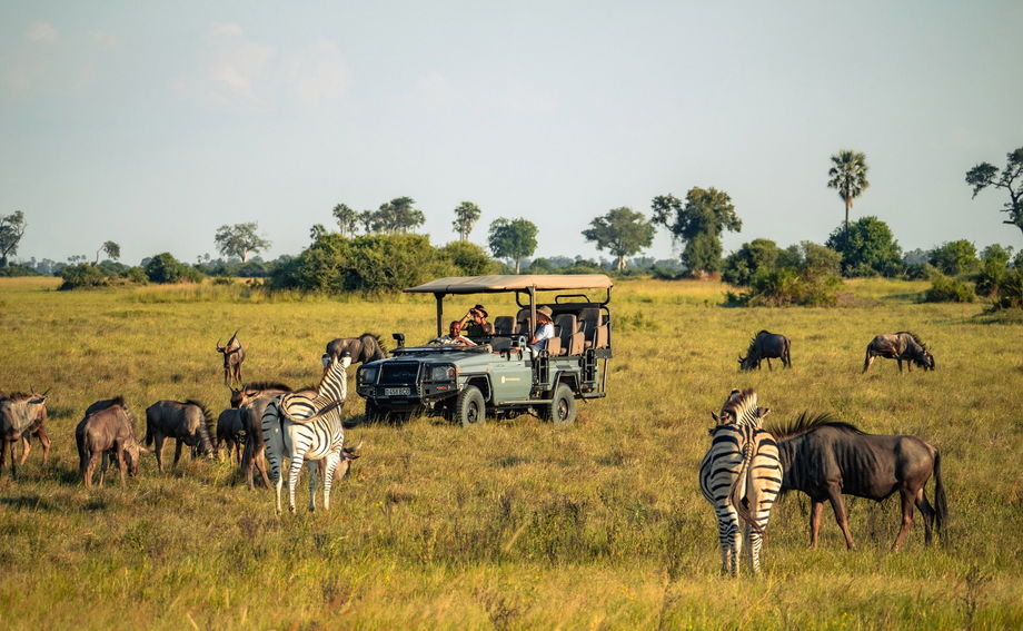 game on delta plains with safari vehicle in background at Little Mombo camp Wilderness safaris game on delta plains with safari vehicle in background at Little Mombo camp Wilderness safaris