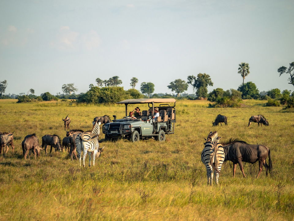 game on delta plains with safari vehicle in background at Little Mombo camp Wilderness safaris