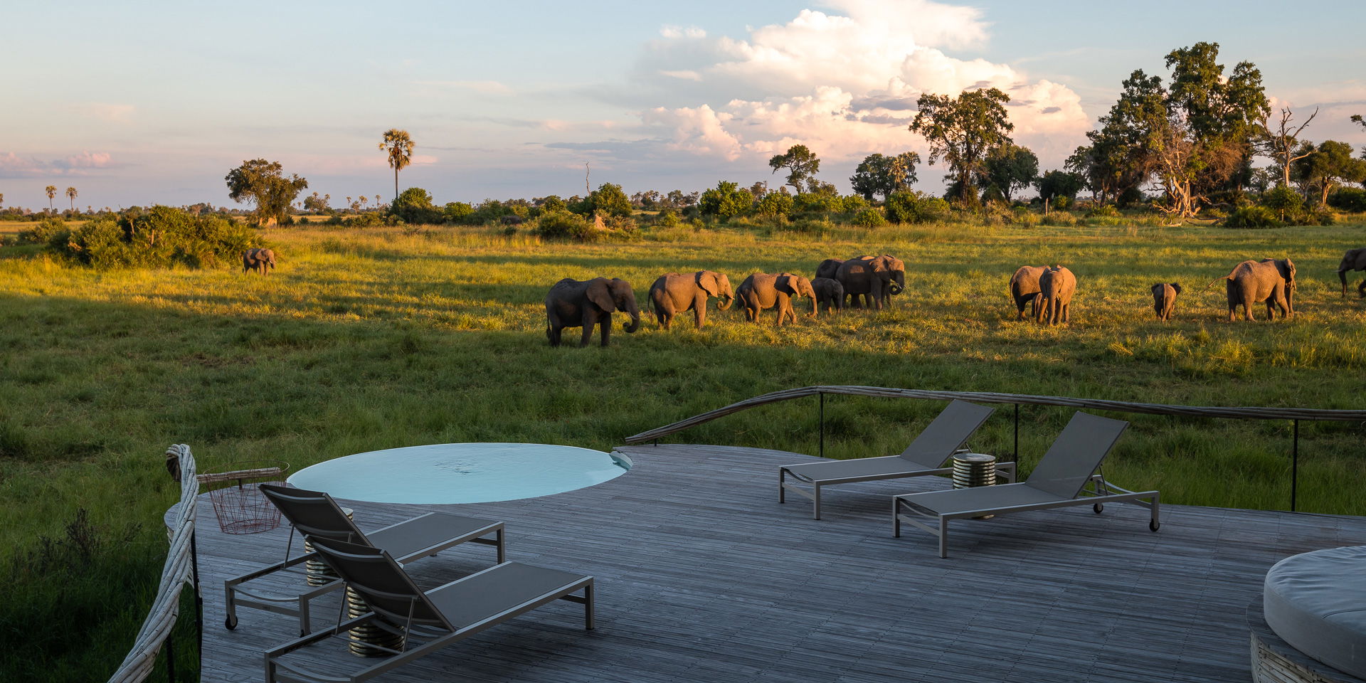 splash pool and lounger on patio of suite and views of delta animals at Little Mombo Wilderness