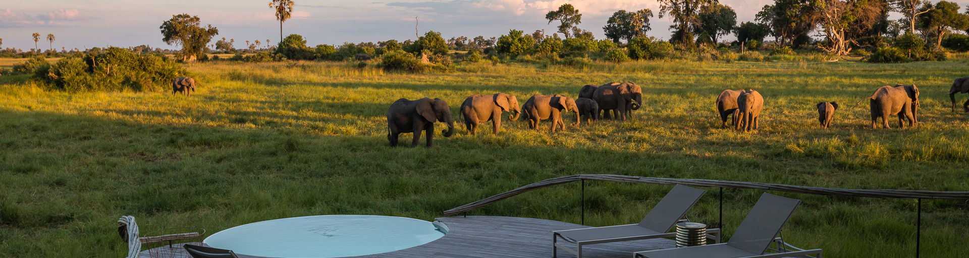 splash pool and lounger on patio of suite and views of delta animals at Little Mombo Wilderness
