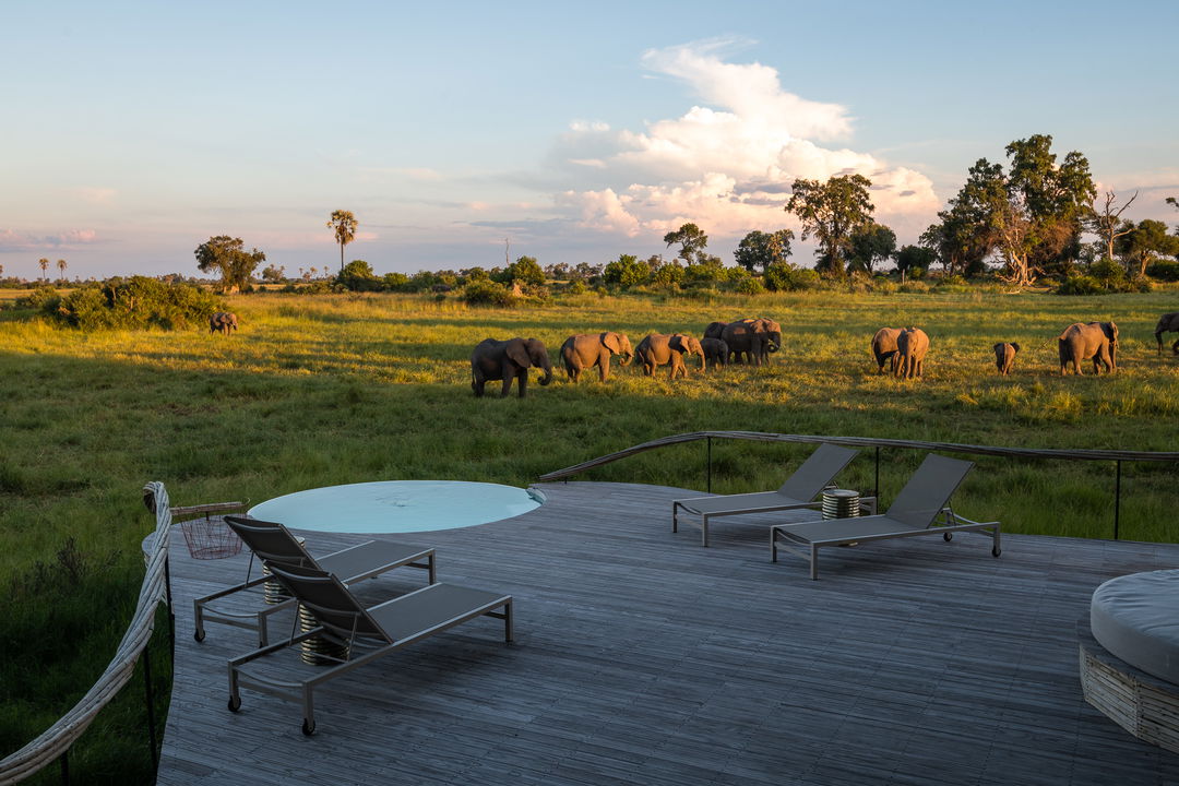 splash pool and lounger on patio of suite and views of delta animals at Little Mombo Wilderness