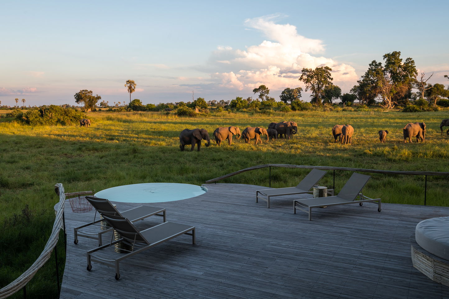 splash pool and lounger on patio of suite and views of delta animals at Little Mombo Wilderness