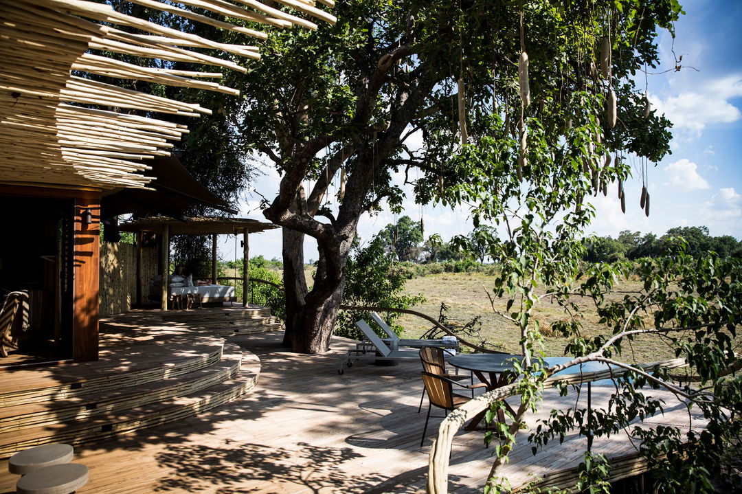 viewing deck with overhanging trees at Okavango Delta by Little Mombo Wilderness
