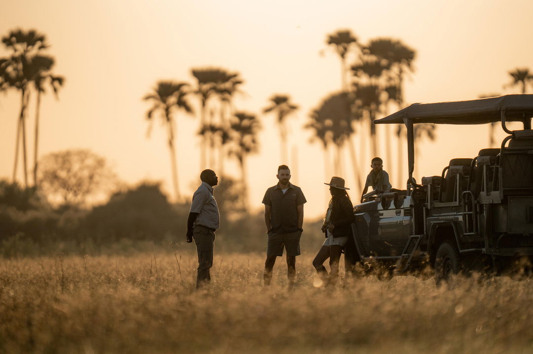three guests with safari guide at sunset in Okavango delta with palm trees and savanna in background