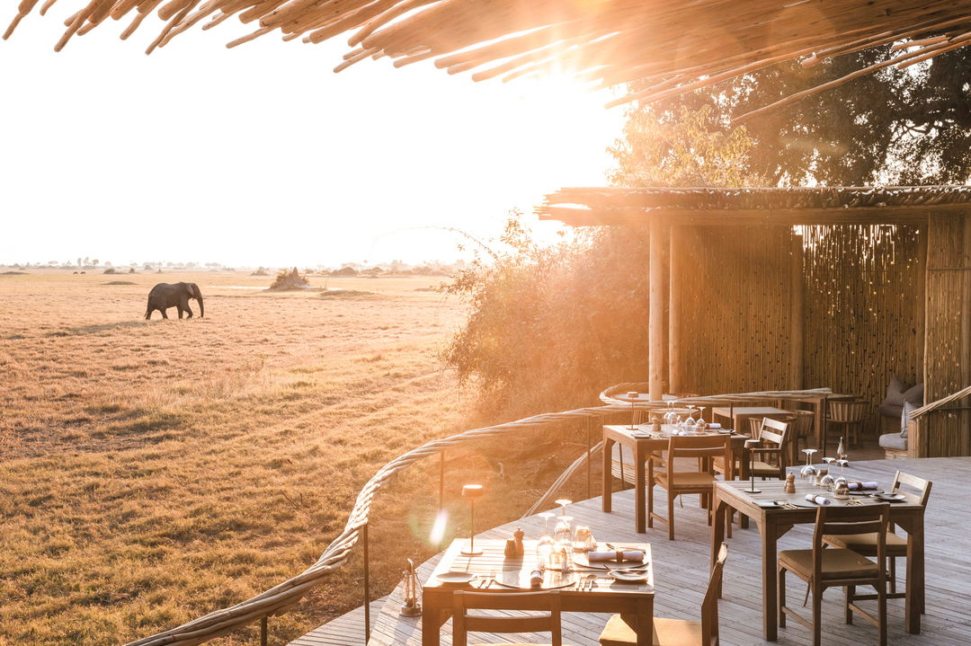 morning sun rising to patio deck of Wilderness Mombo Camp and elephant in backdrop on delta