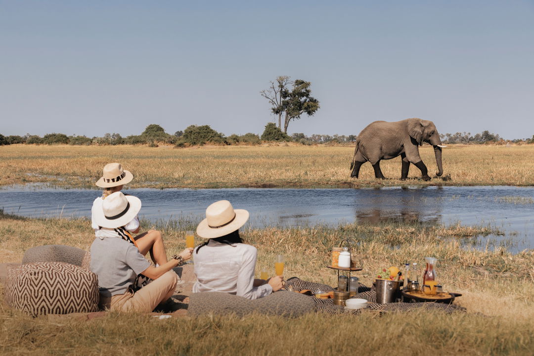 three guests on picnic blanket in Okavango delta looking at elephant in background at Wilderness Mombo Camp