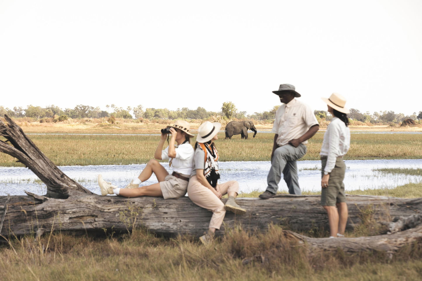 two lady guests on picnic blanket and two guides in Okavango delta looking at elephant in background at Wilderness Mombo Camp