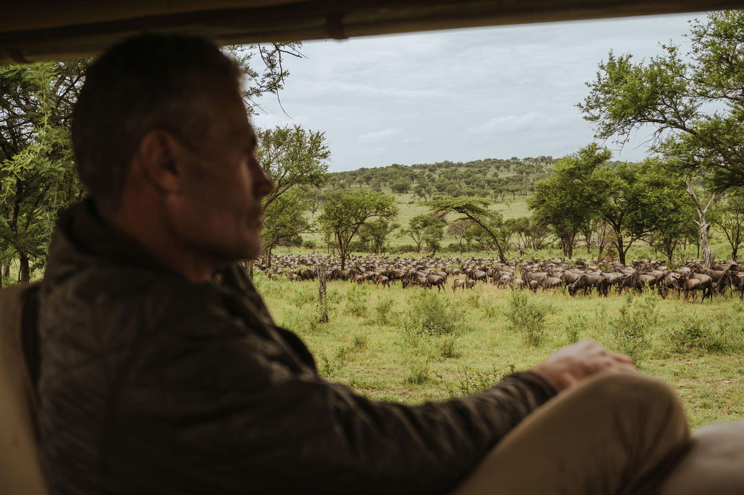 game drive vehicle next to herd of wildebeest at Wilderness Usawa tented camp Serengeti