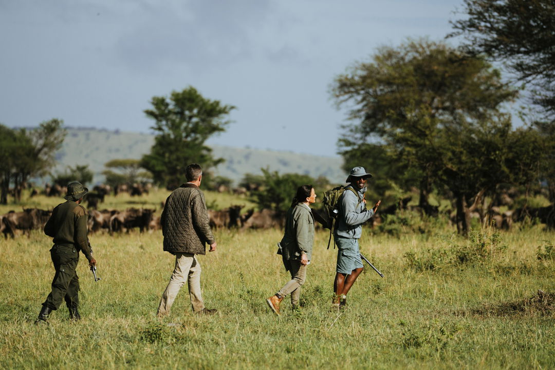 guests on a bush walking safari by Wilderness Usawa tented camp Serengeti