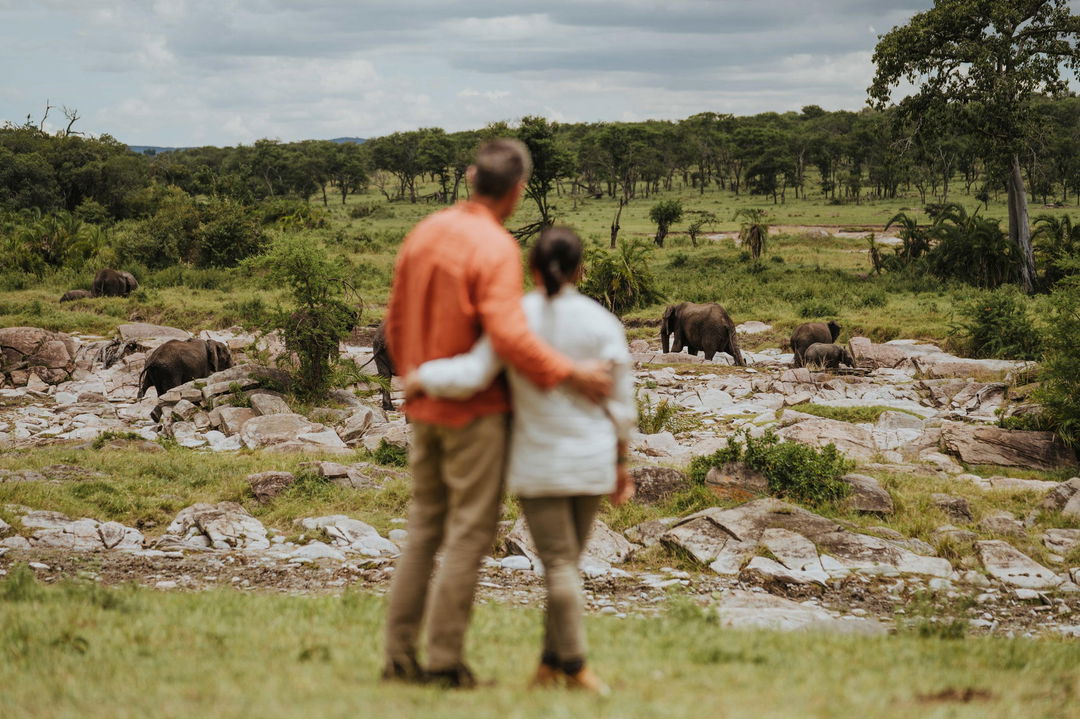 couple on the plains looking at elephants by Wilderness Usawa tented camp Serengeti