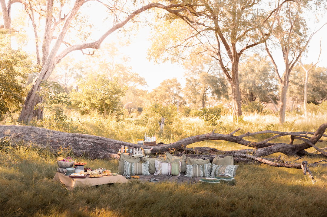 picnic setting with pillows and blanket in the bush at Vumbura Plains Camp Wilderness Okavango Delta