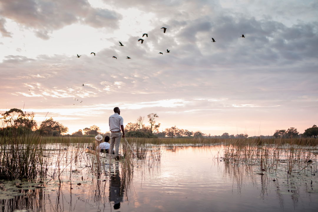 guest and guide in mokoro with birds flying overhead at Vumbura Plains Camp Wilderness Okavango Delta