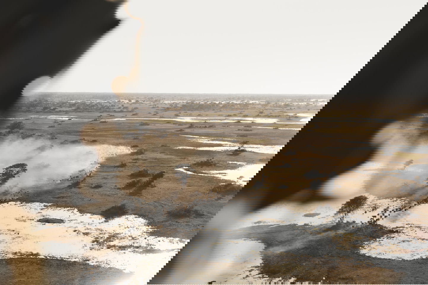 helicopter view of game on Okavango Delta below by Little Mombo Wilderness
