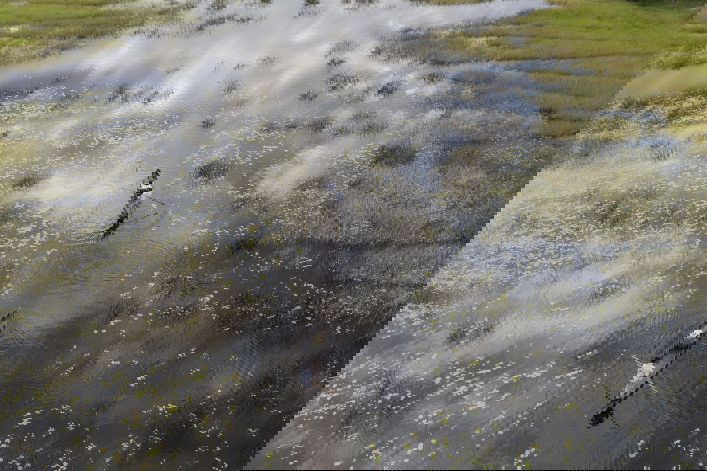 aerial view of two mokoros on water at Vumbura Plains Camp Wilderness Botswana Okavango Delta