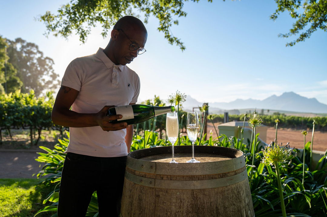 sommelier pouring drinks on wine barrel in winelands