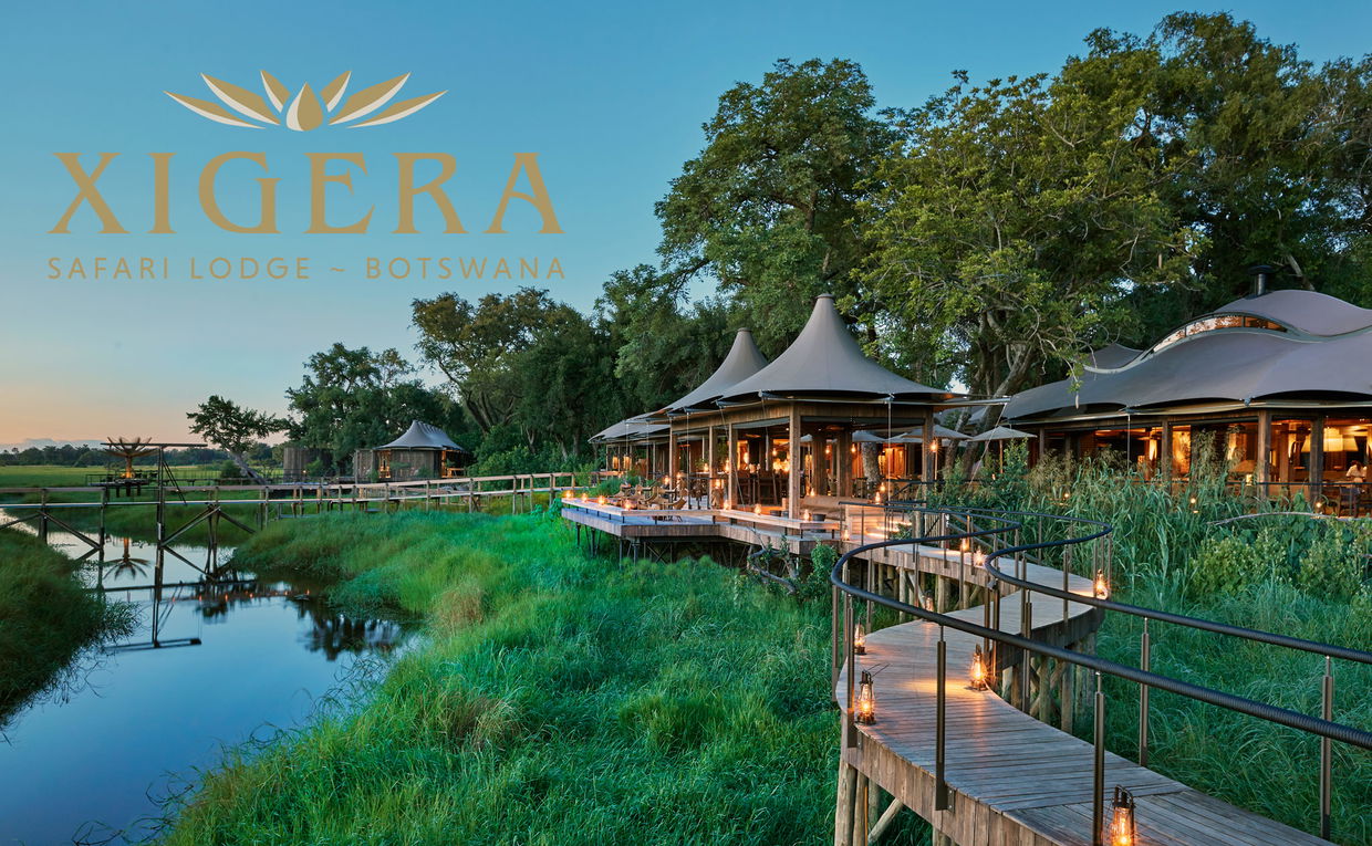 Xigera Lodge Botswana view from the delta with a Xigera logo overlay Xigera Lodge Botswana view from the delta with a Xigera logo overlay