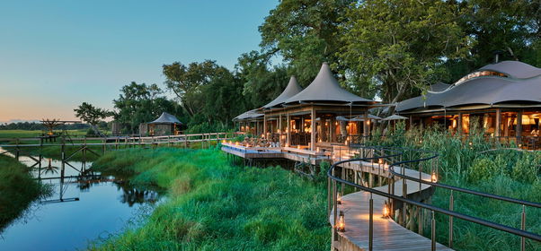 🐊 Botswana Okavango Delta Ultimate Luxury Safari 🇧🇼