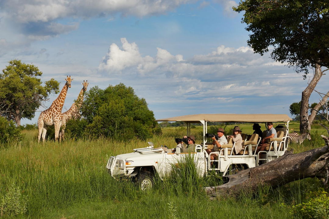 game drive at Xigera Lodge Botswana with guests sighting giraffes in the delta