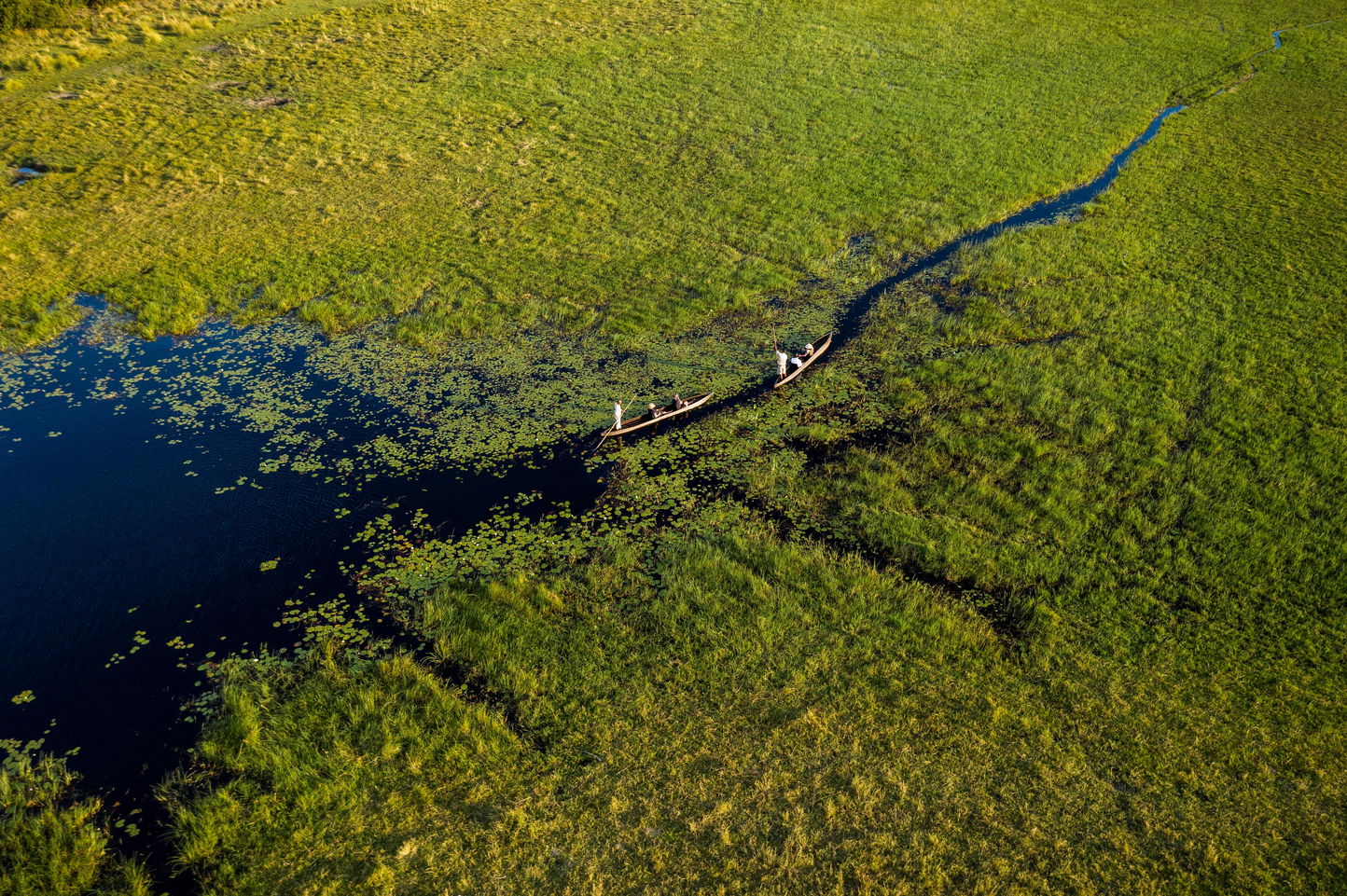 two mokoros cruising with guests through waterways on Okavango delta at Xigera Safari Lodge