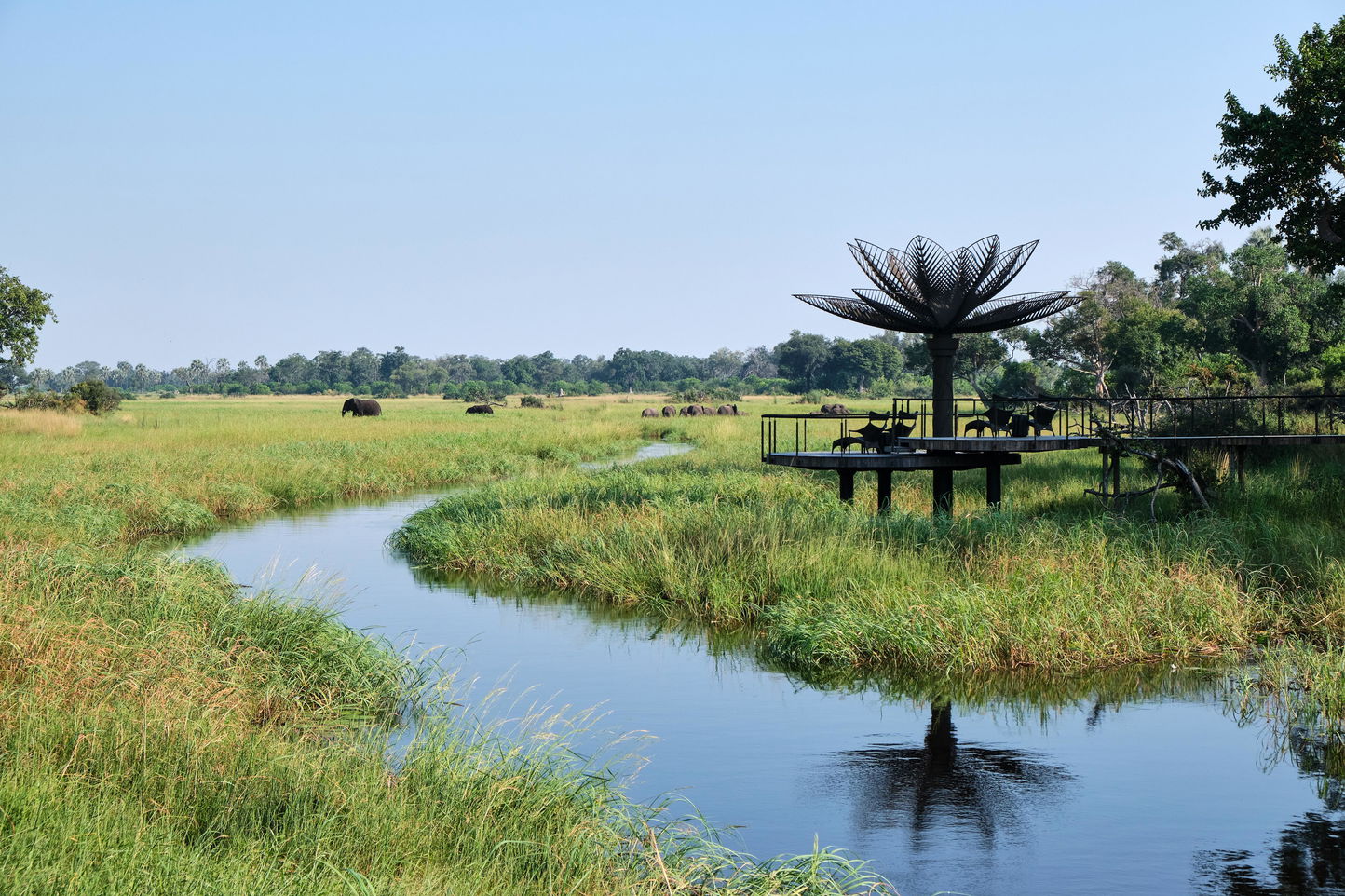view of Xigera lodge in the Okavango delta with elephants in water