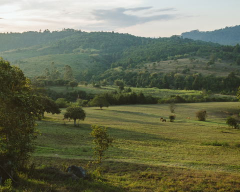 About Tanzania’s Highlands