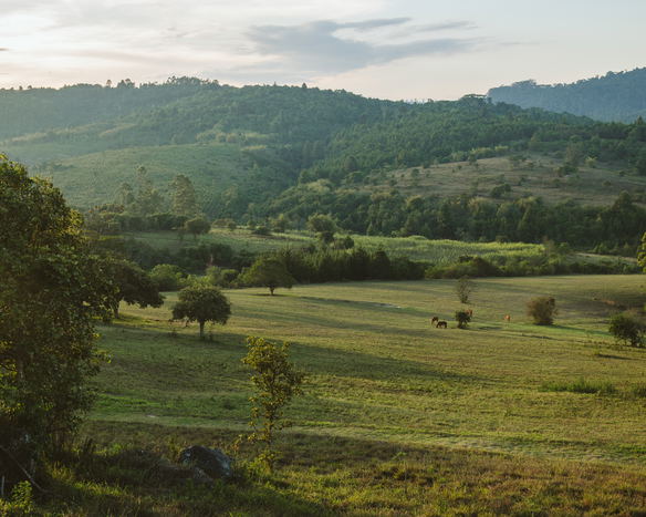 About Tanzania’s Highlands