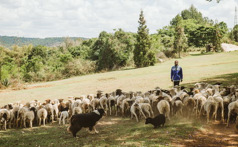 Our family farm