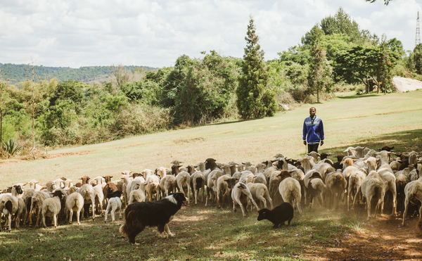 Our family farm