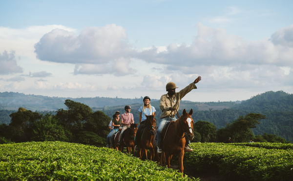 Horse Riding