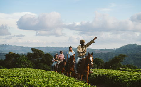 Horse Riding