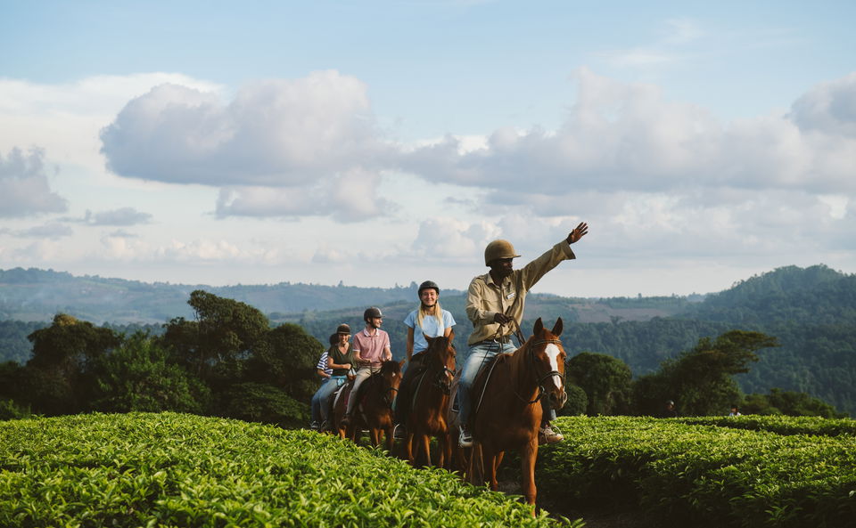 Horse Riding