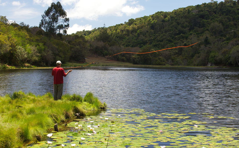 Fly Fishing